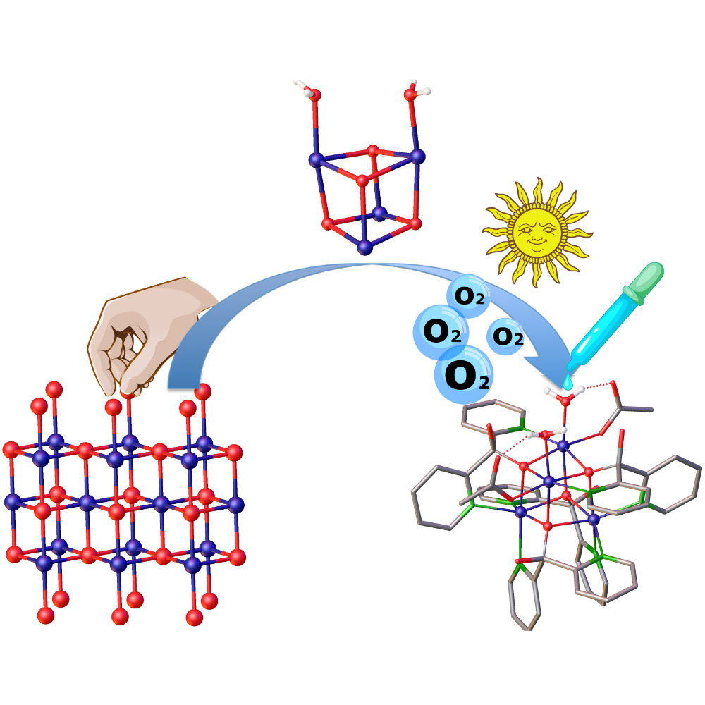 molecular-water-oxidation-catalysts