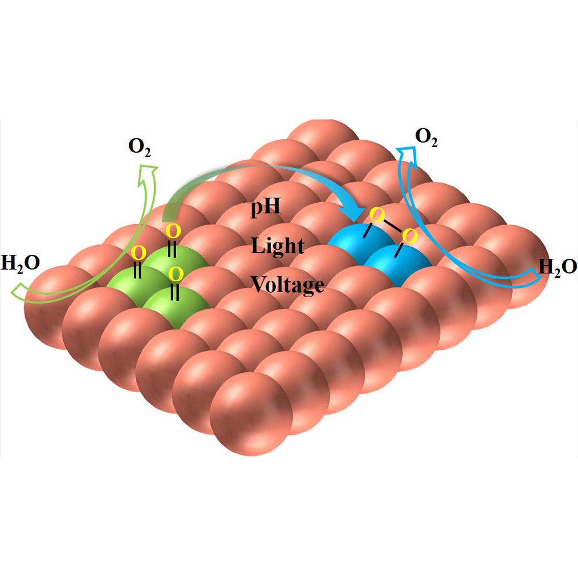 photoelectrodes