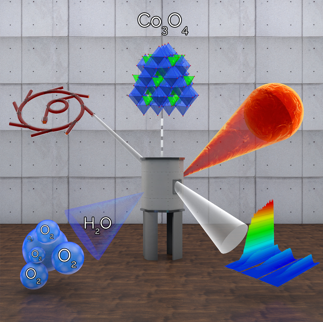 structure-property-activity-green-catalysts